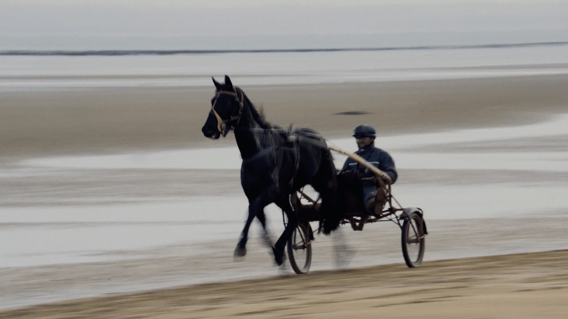 A horse-drawn carriage trotting across the tidal flats