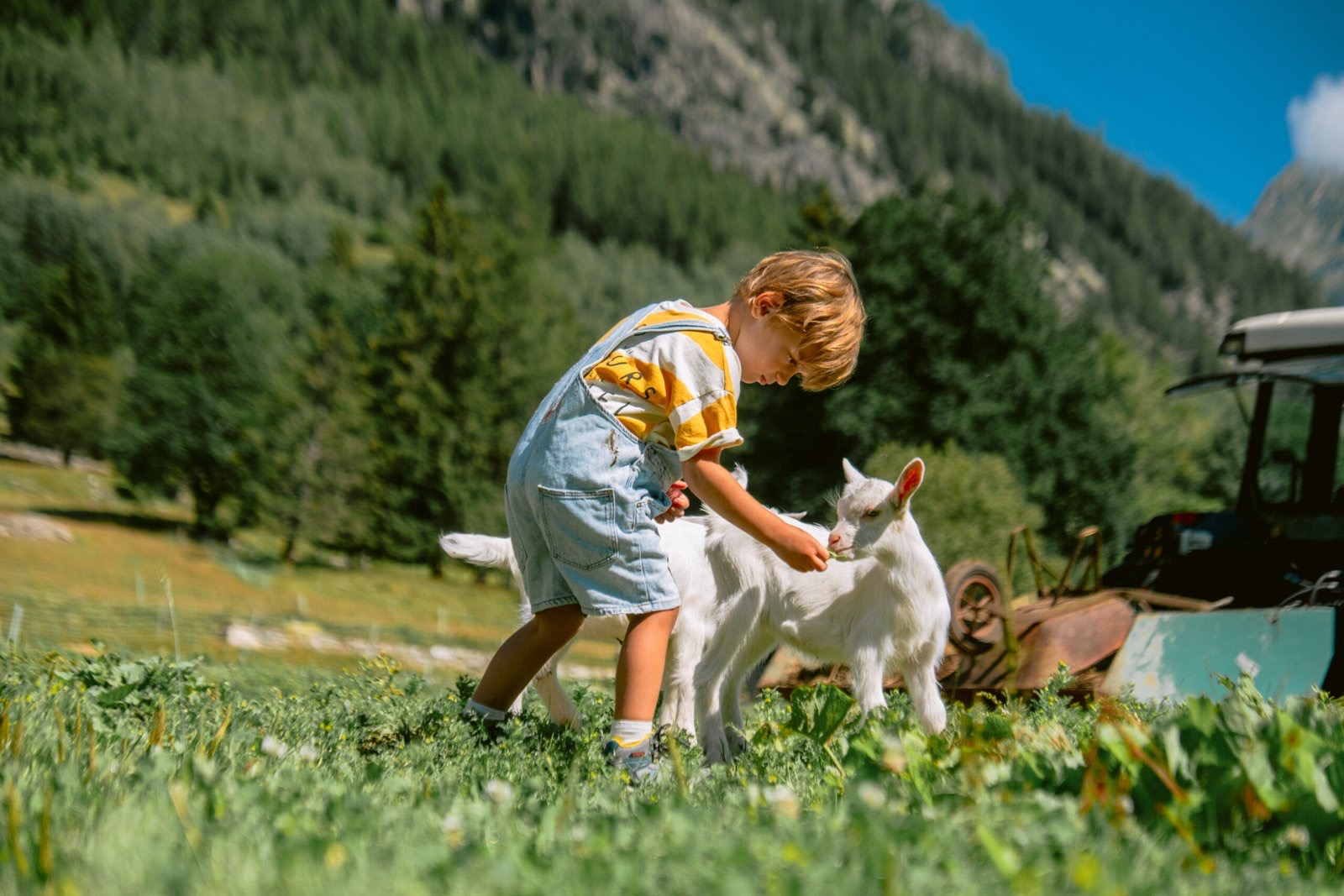 A child petting a young goat during a farm visit