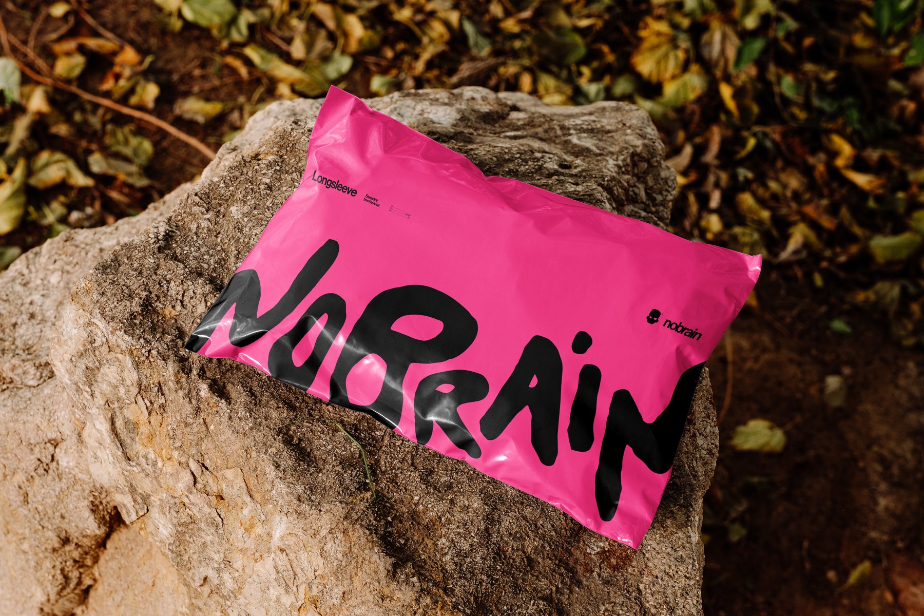 Pink shipping pouch resting on a rock