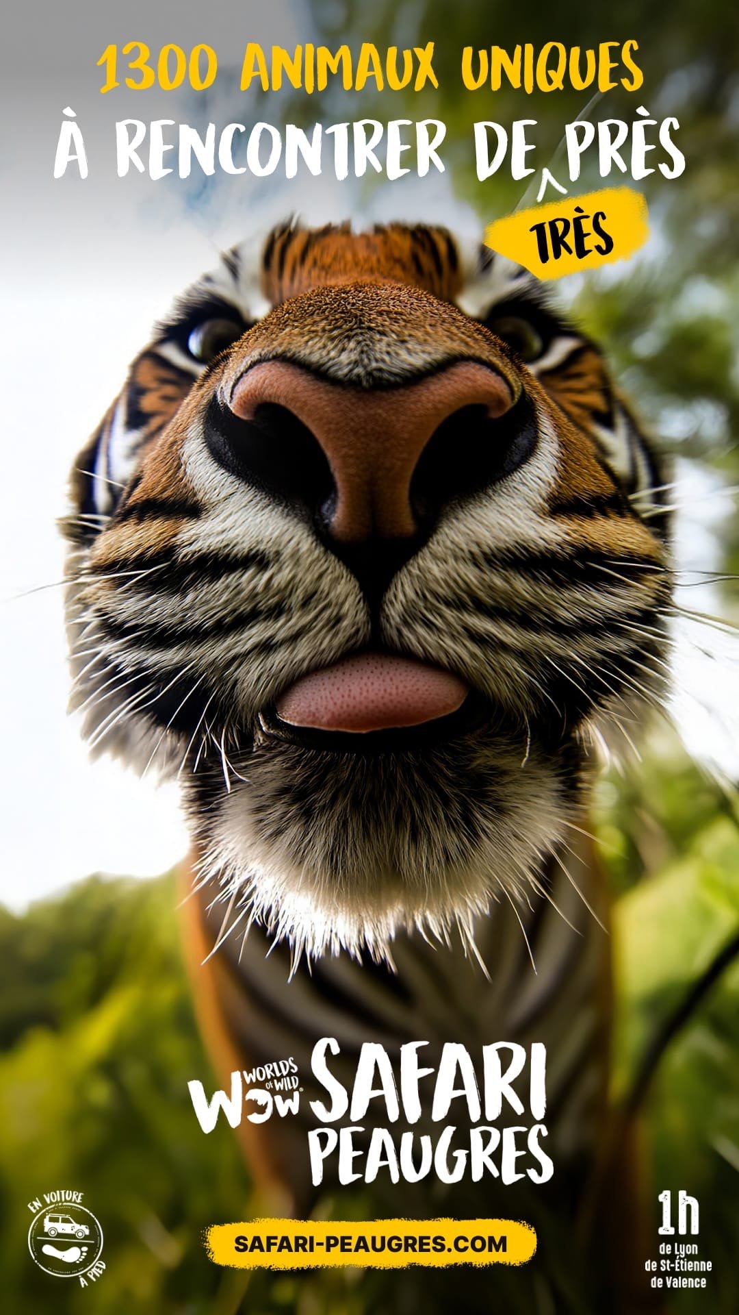 Poster « À rencontrer de très près », close-up on a tiger