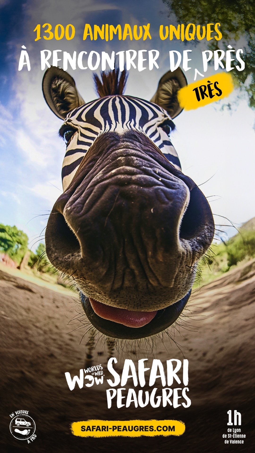 Poster « À rencontrer de très près », close-up on a zebra