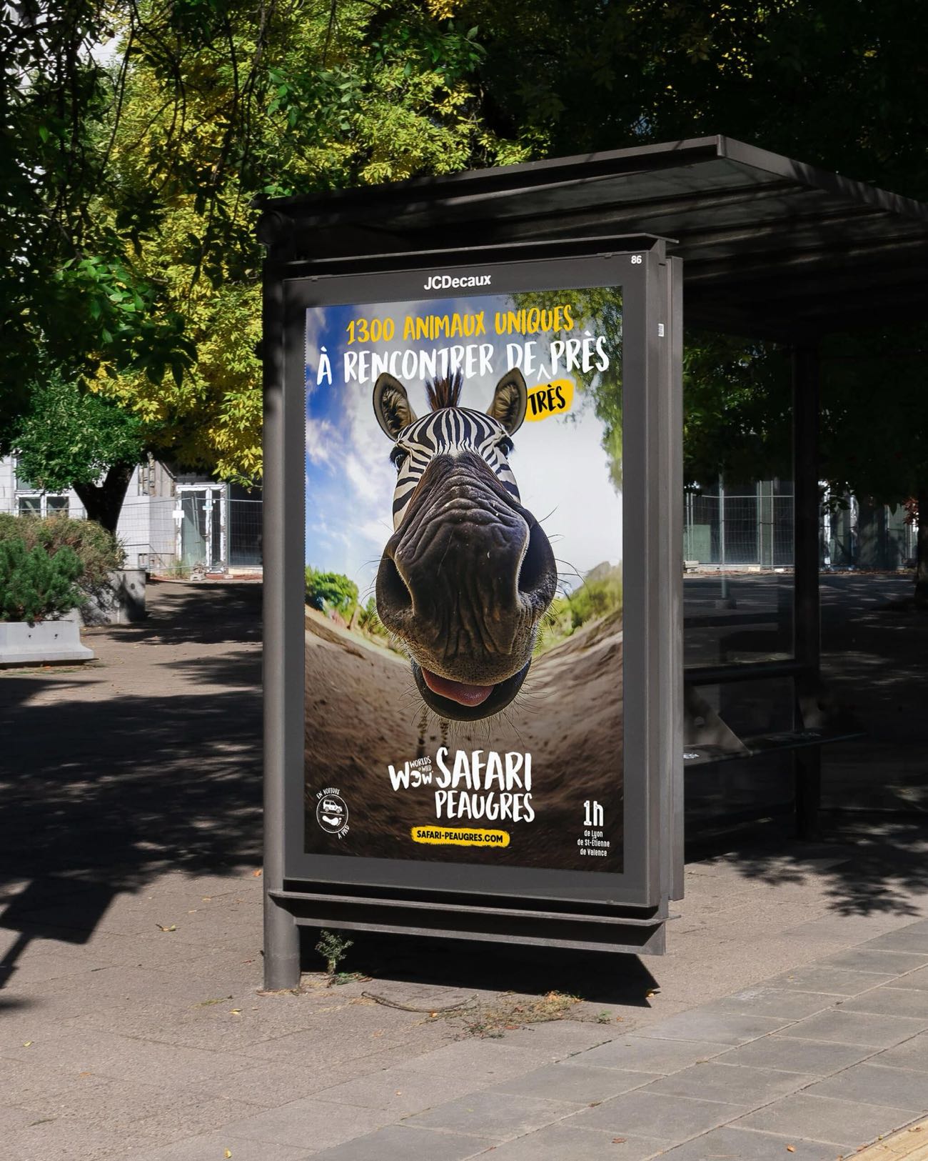 Zebra poster in situ on a JCDecaux bus shelter